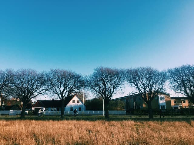 Bostadsområde med gräs och blå himmel