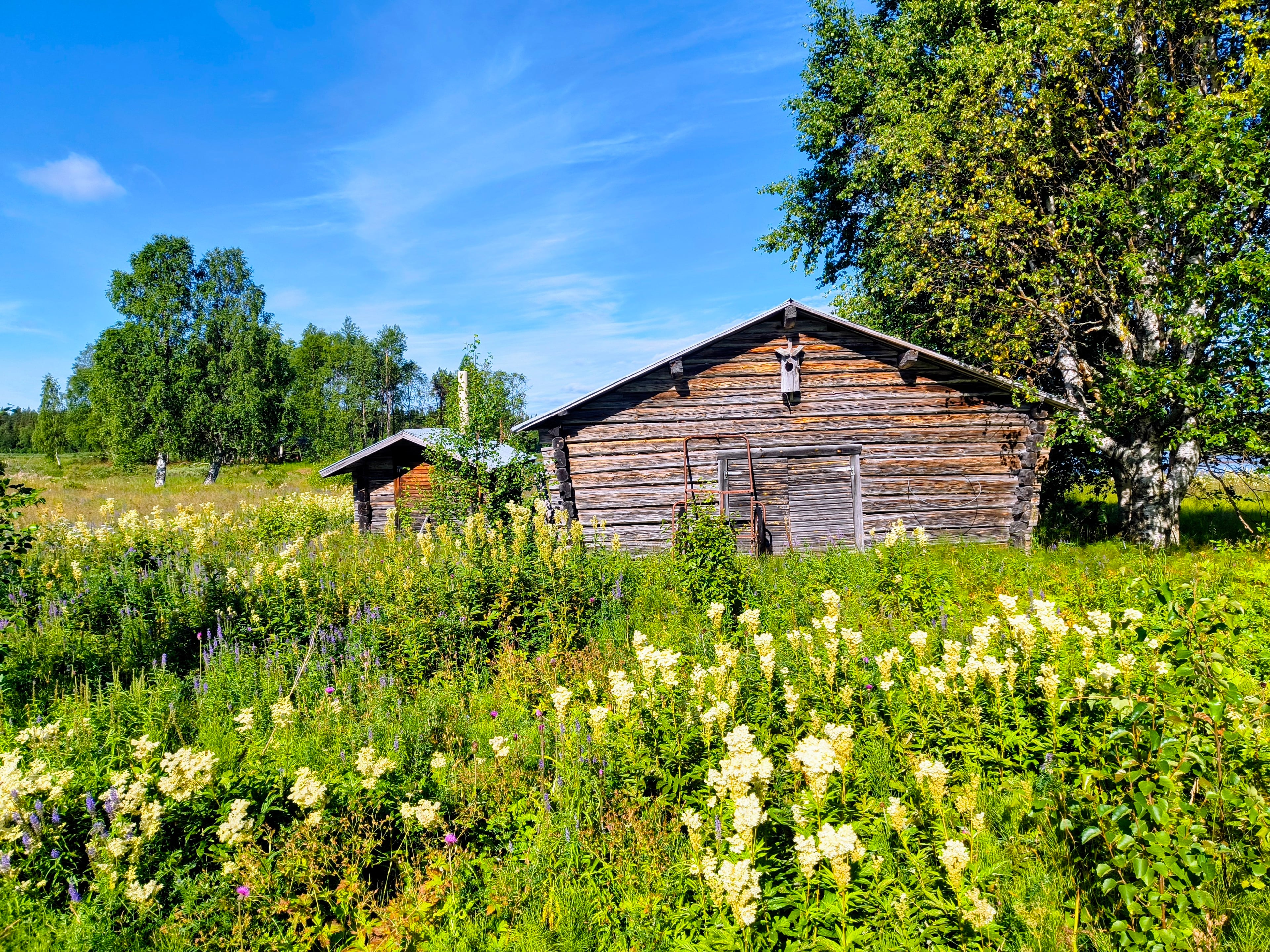 Unikt läge efter Kalix älv