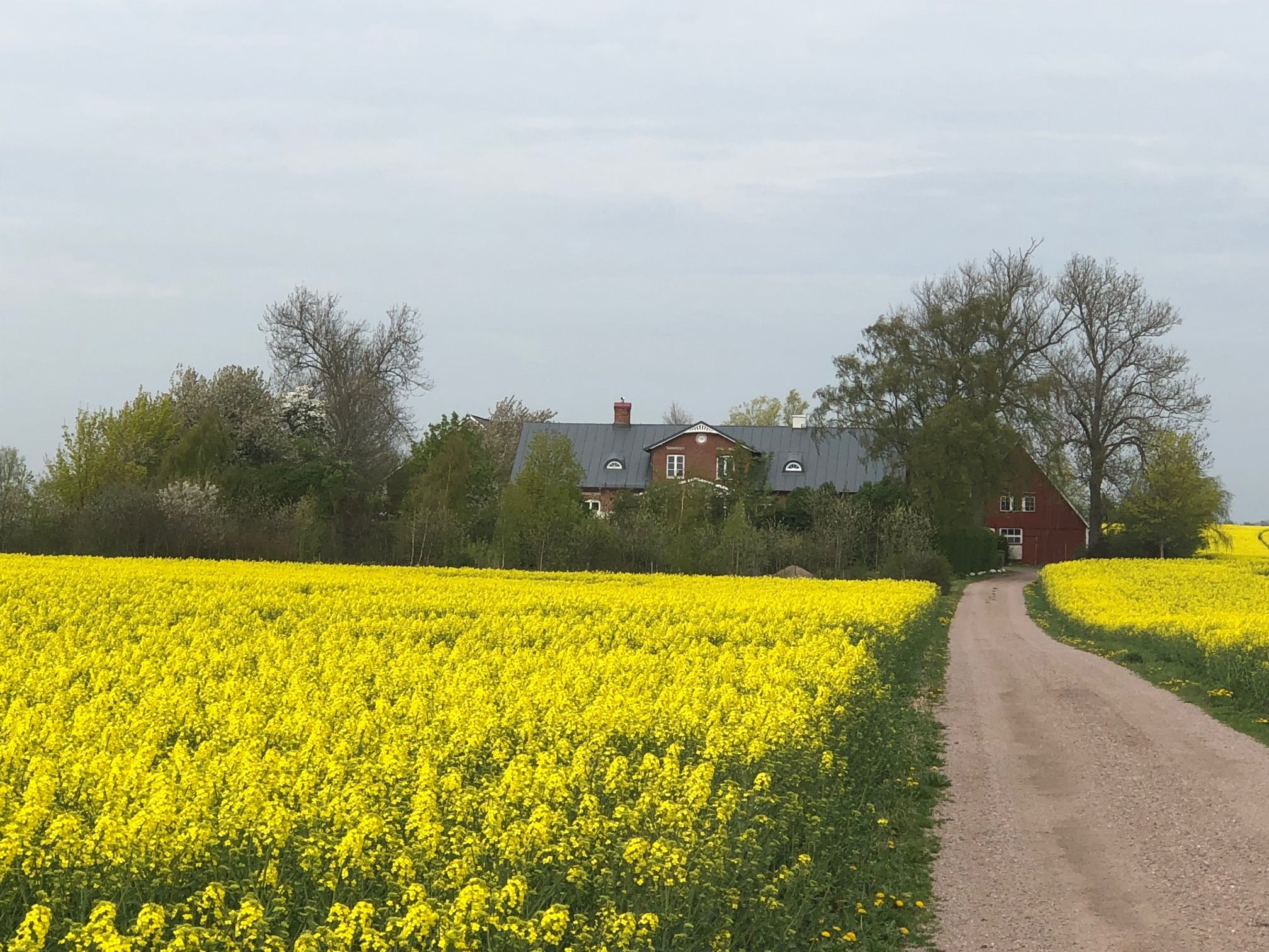 Lägenhet i sekelskifteshus uthyres strax utanför Marieholm,