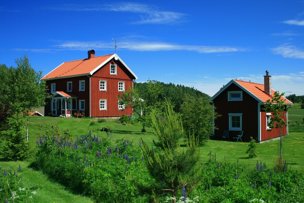 Boannons.se — klassiska faluröda hus på svensk landsbygd sommartid med grön gräsmatta och blommande lupiner